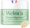 Baume Coussinet chien