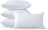 Coussins de Garnissage 30 x 50 CM Lot de 4