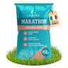 LERAVA Engrais Gazon Printemps Marathon