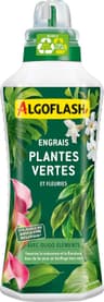 Algoflash Engrais Liquide