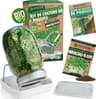 zengreens Kit Germoir Bio