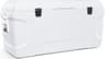 Igloo Marine Ultra 54 QT