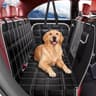 Protection Voiture Chien