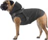 Manteau de Pluie pour Chien
