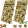 Blocs Cubes Culture