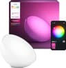 Philips Hue Go