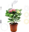 Mcbazel Lampe Plante