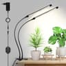 Lampe de croissance à pince 12V