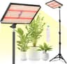 MICCYE Lampe de Plante