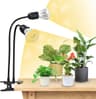 SANSI Lampe Horticole LED 20W