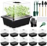 Mini Serre pour Plantes