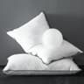 Oreiller en d'oie Duvet 60x60