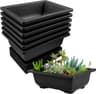 Lovesmile Pot Bonsai