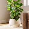 LE TAUCI Pot de Fleurs