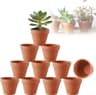 Lot de 10 Pots en Terre Cuite