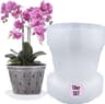 Garten lux Pots Orchidée