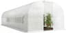 Serre Tunnel 24m²