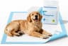 Alaise pour Chien