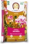 Or Brun Terreau Orchidées