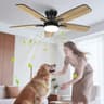 Airwit Ventilateur Plafond